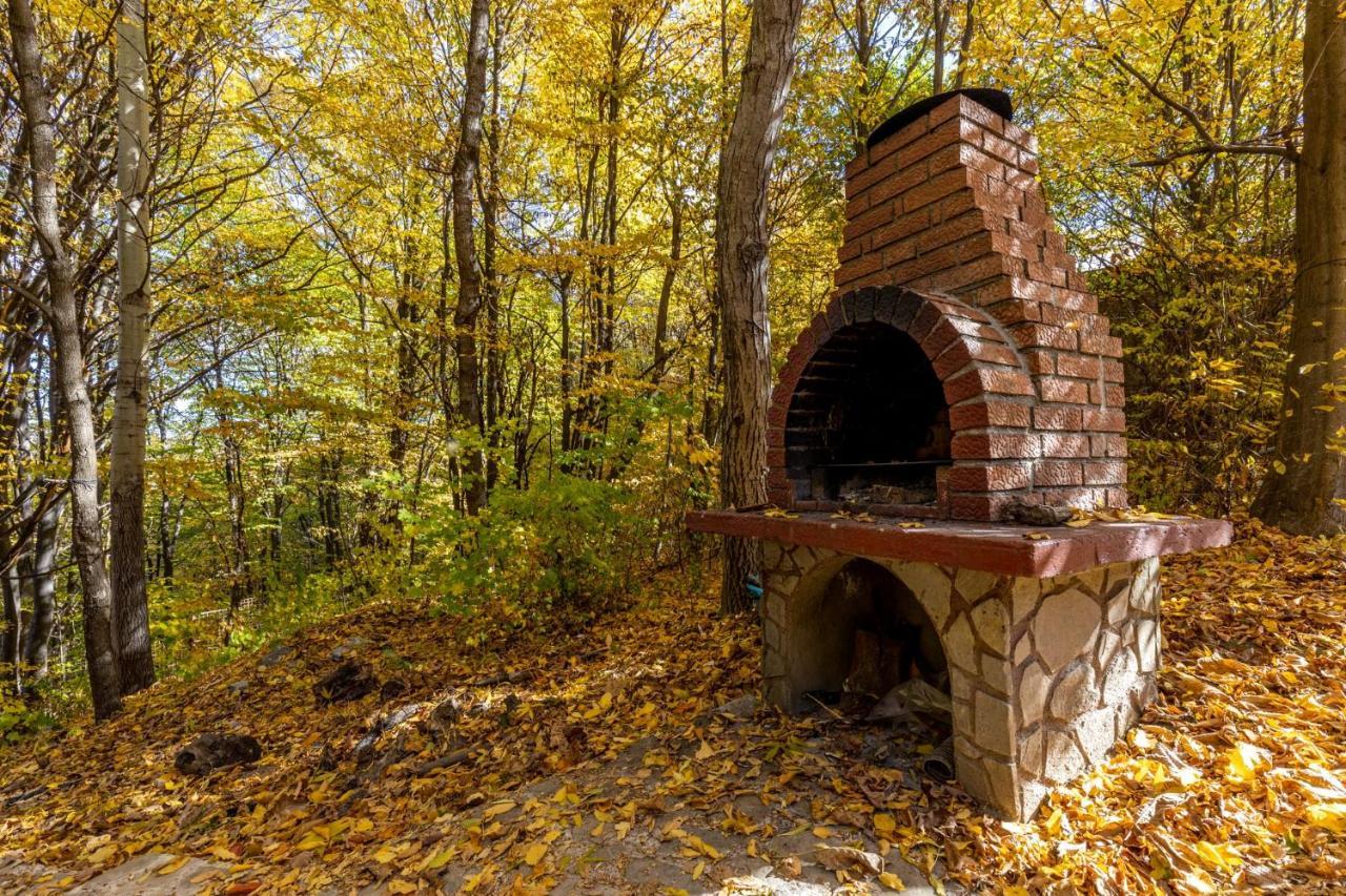 Cabana Din Padurea Valeni Vălenii de Munte Exterior foto